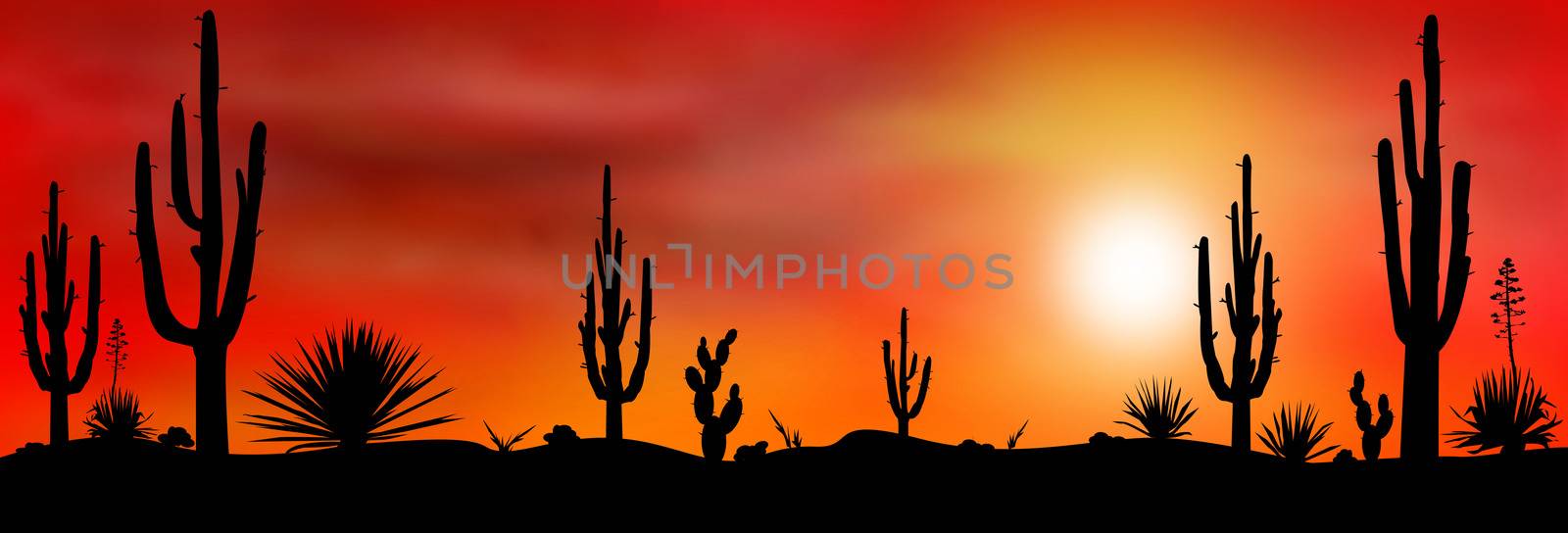 Sunset in the Mexican desert. Silhouettes of stones, cacti and plants. Desert landscape with cacti. The stony desert.                                                                                                                                                                          