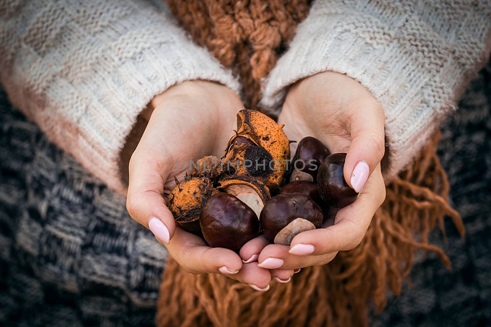 Chestnuts in the hands of a girl by SmirMaxStock