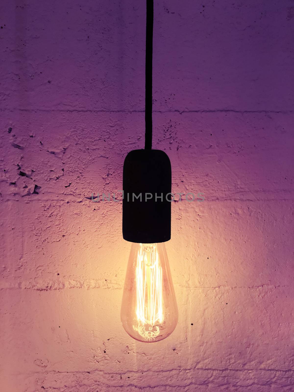 Industrial design light bulb on a black cord by anikasalsera