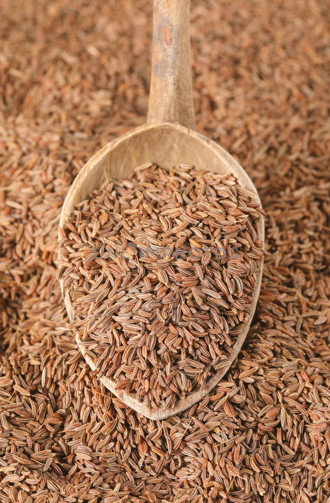 spoon of caraway seeds - full frame