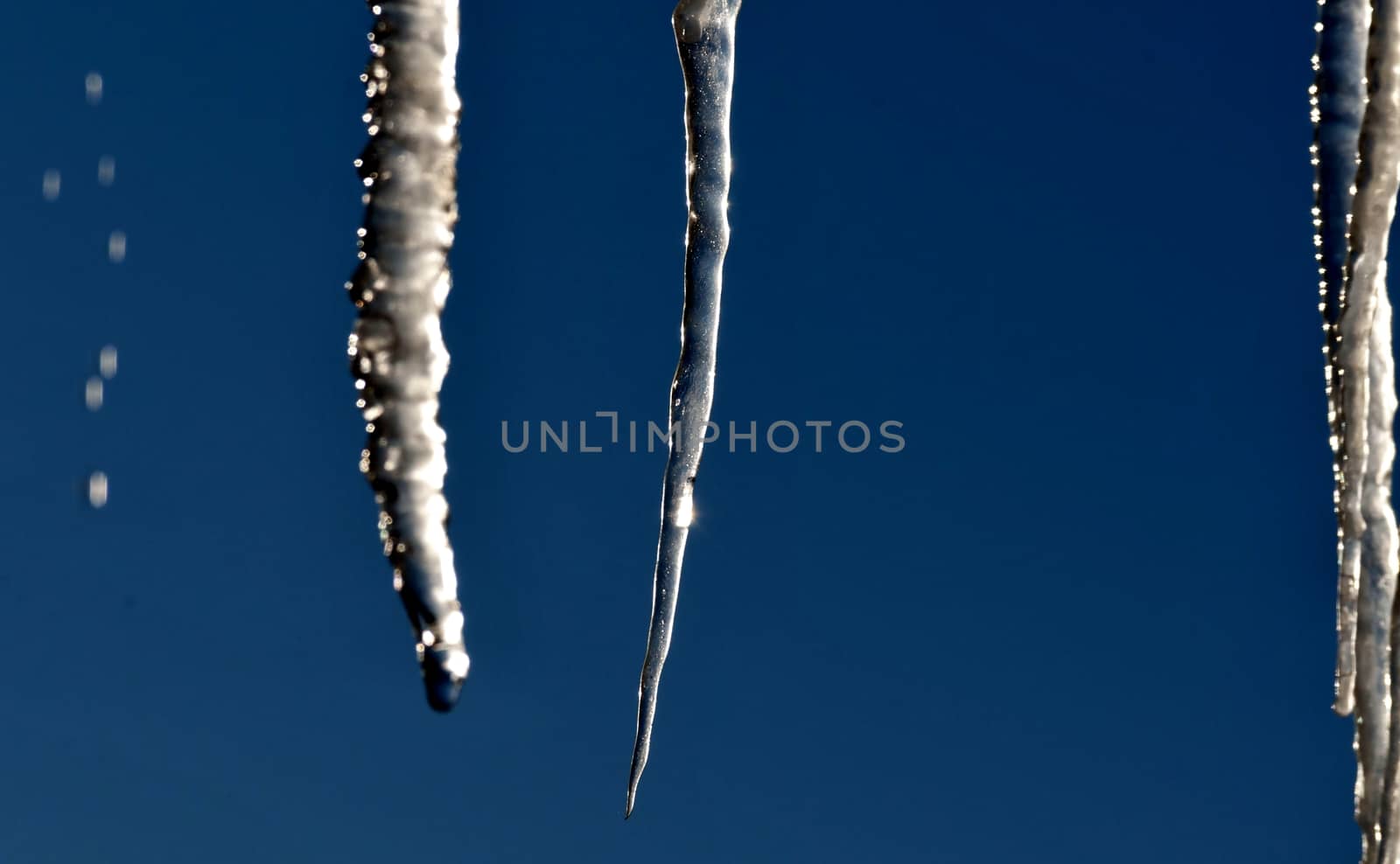 ice icicles lit by the sun against the blue sky