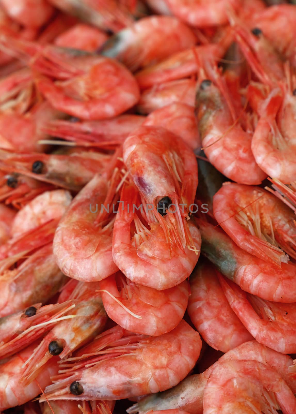 Heap of fresh boiled or steamed small pink shrimps on retail market display, close up, high angle view