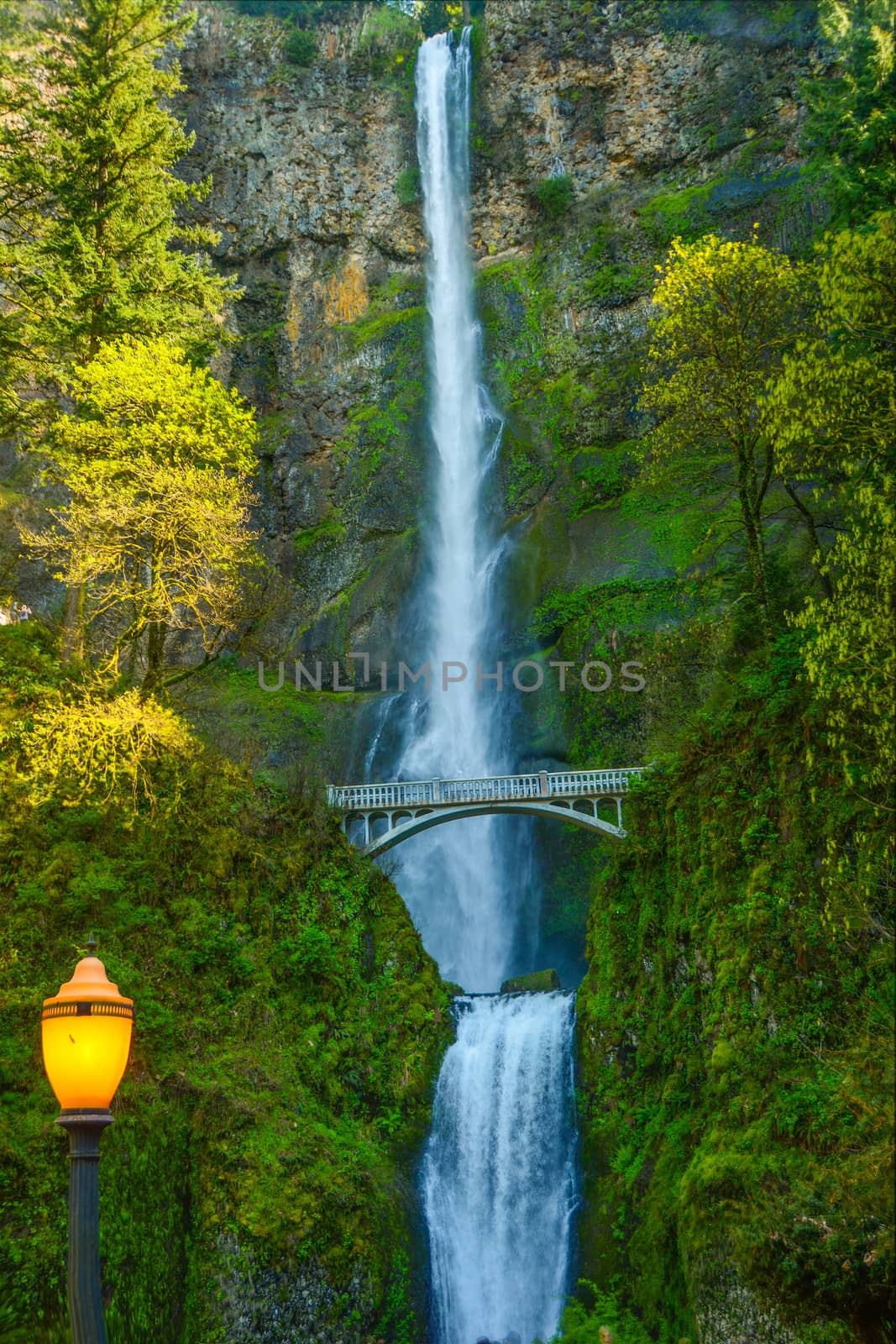 Multnomah Falls with foot bridge by cestes001