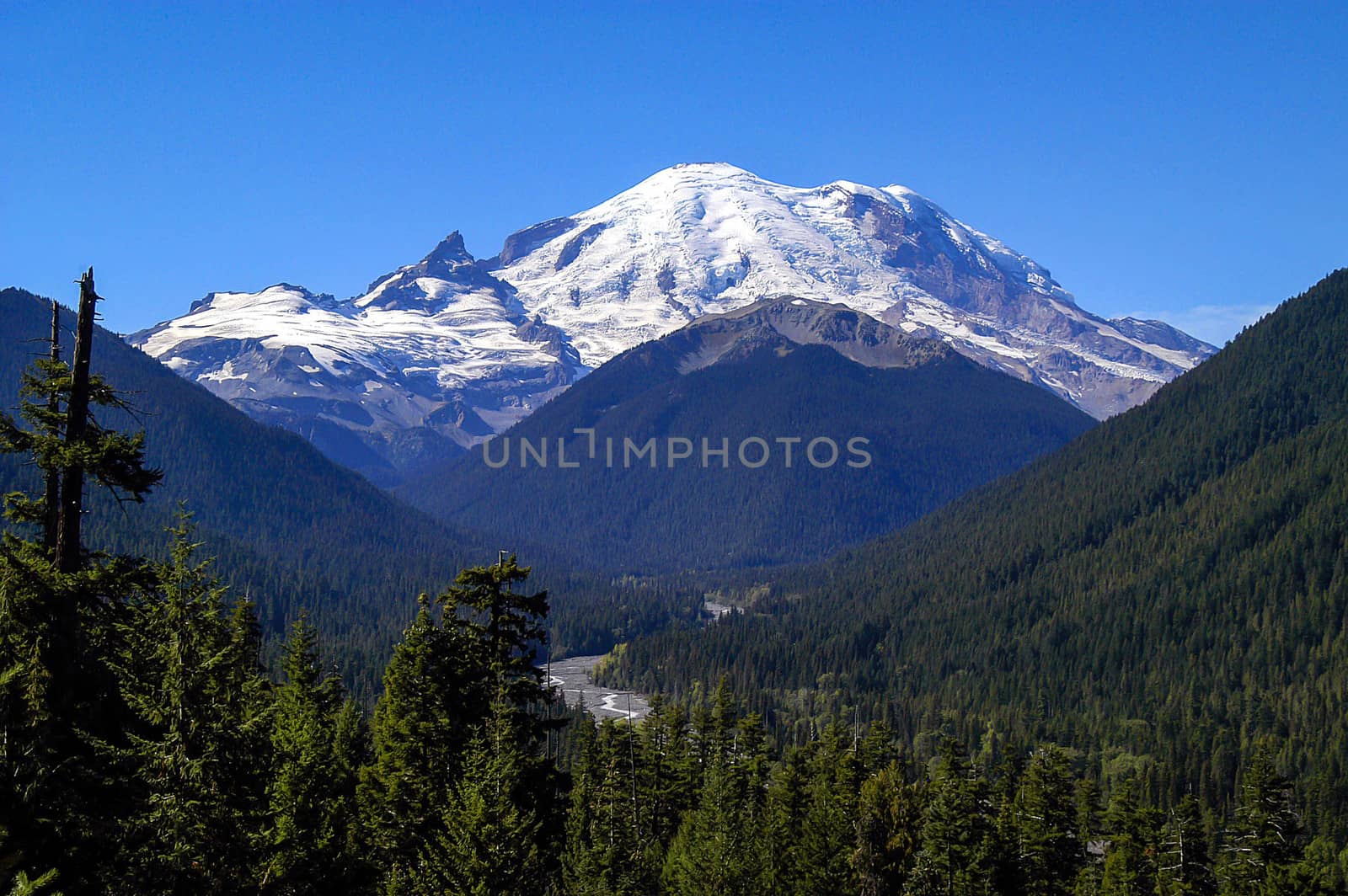 Mt Rainier under clear blue sky by cestes001