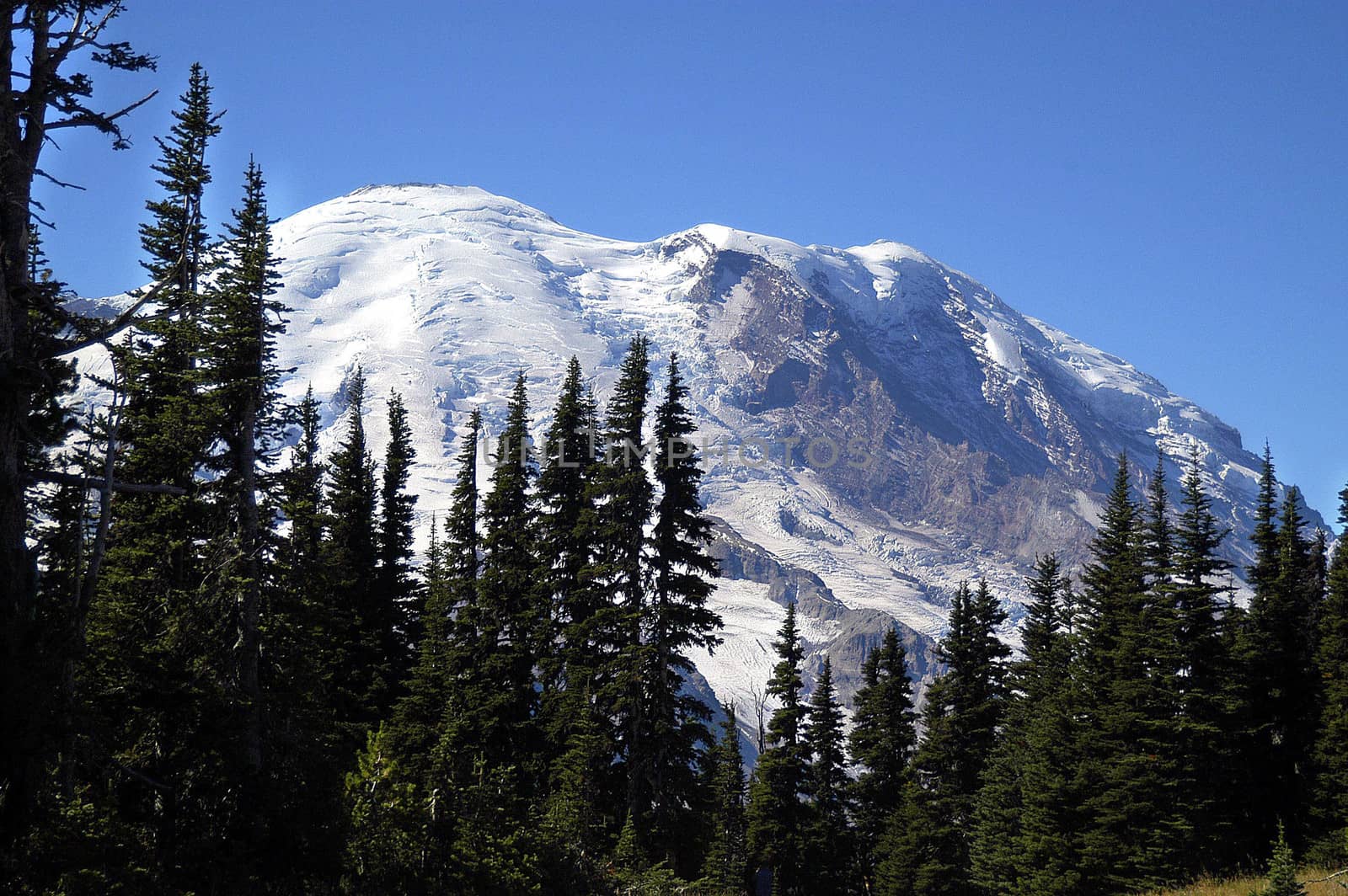 Mt Rainier National Park in late spring