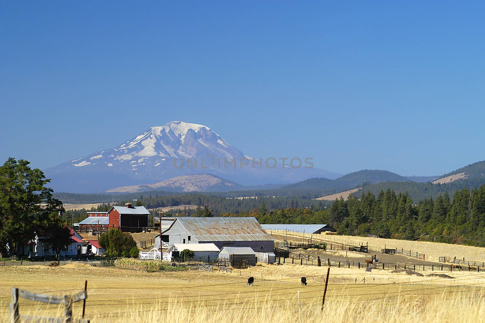 Mt Rainier viewed from Goldendale, WA with farm in foreground