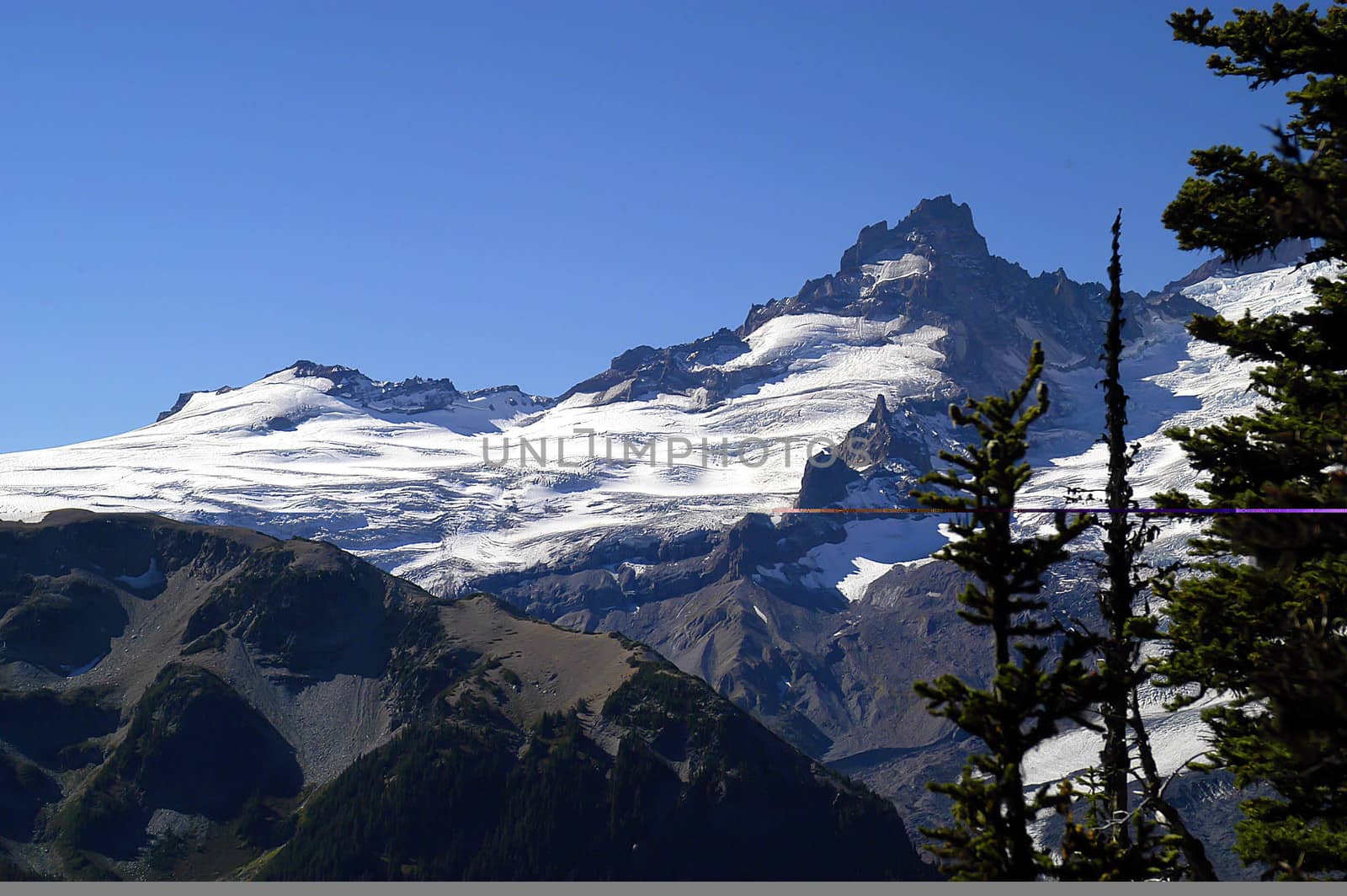 Mt Rainier under clear blue sky by cestes001
