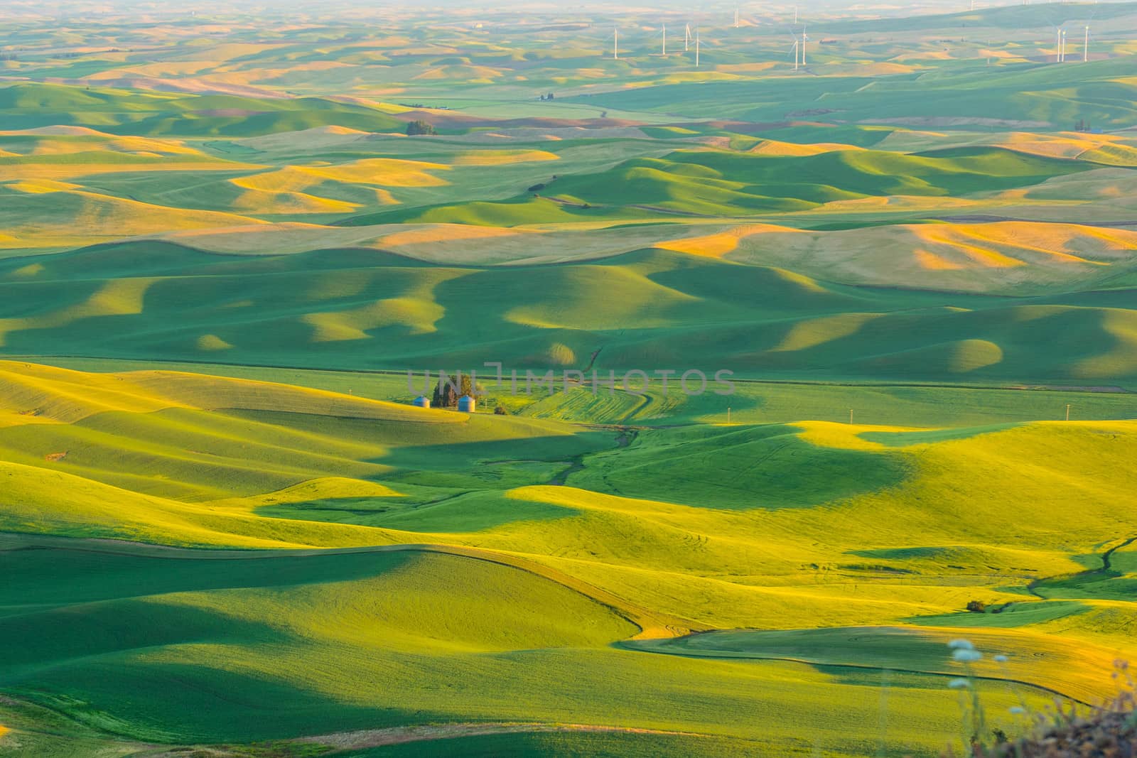 Taken from Steptoe Butte, Washington.