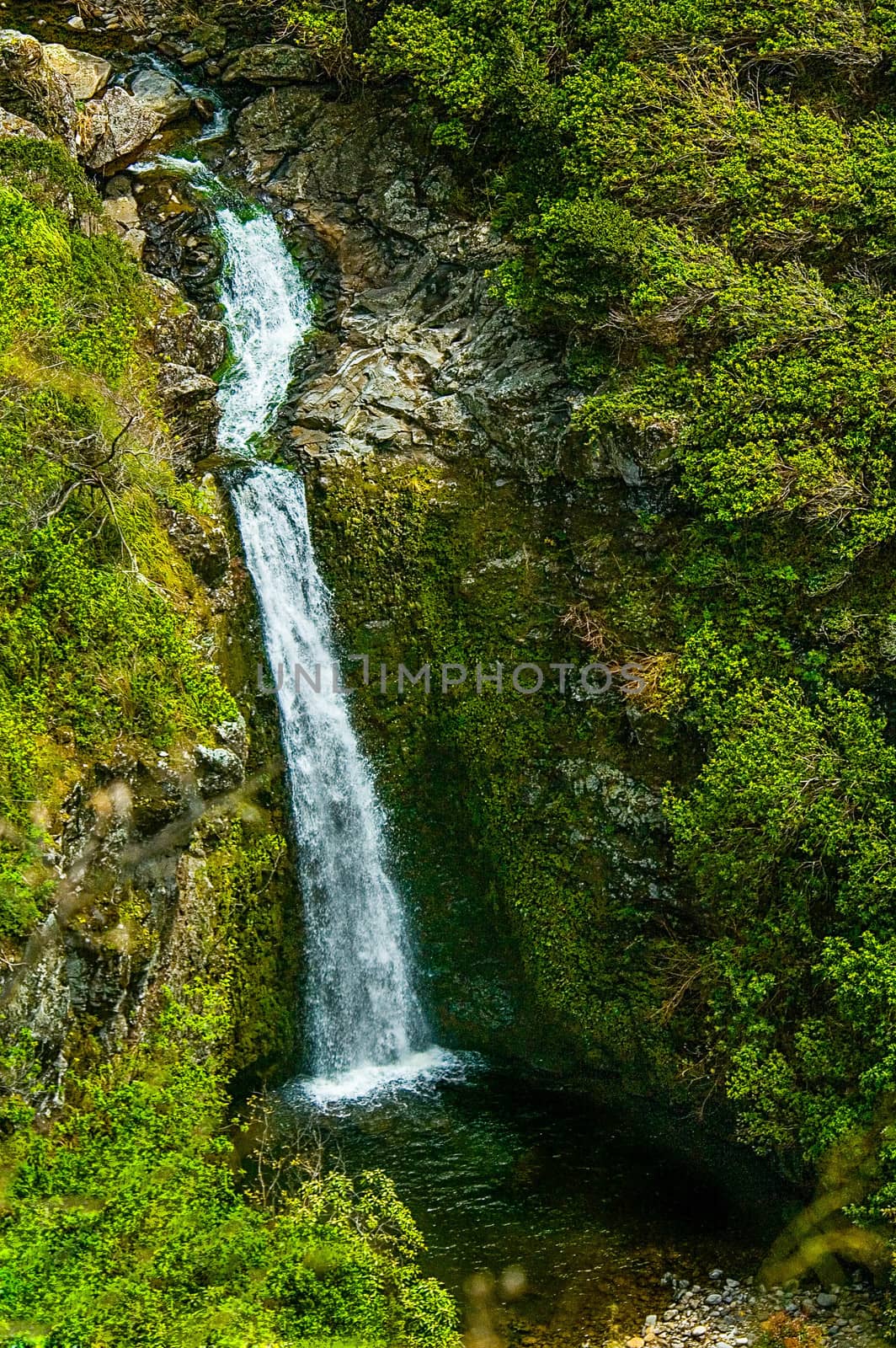 Waterfall cascades into pool on windward coast of Maui