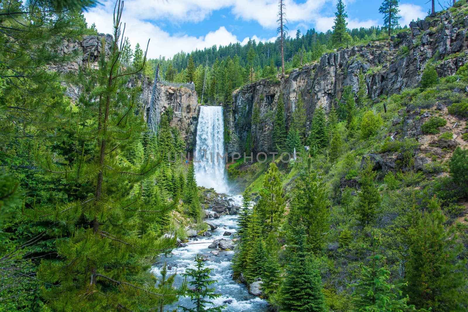 Tumalo Falls, OR by cestes001