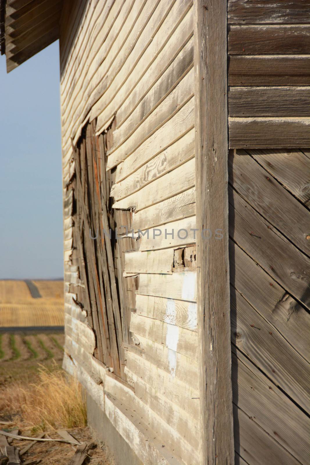Weathered Schoolhouse in the Panhandle region of Idaho