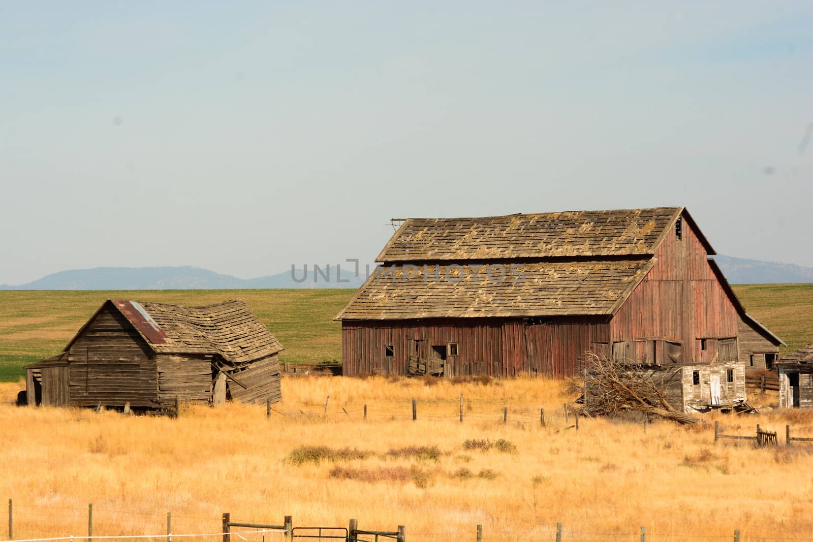 Barn in Field by cestes001