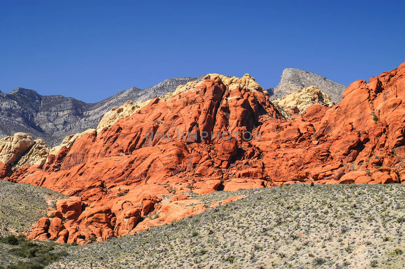 Red Rock Canyon by cestes001