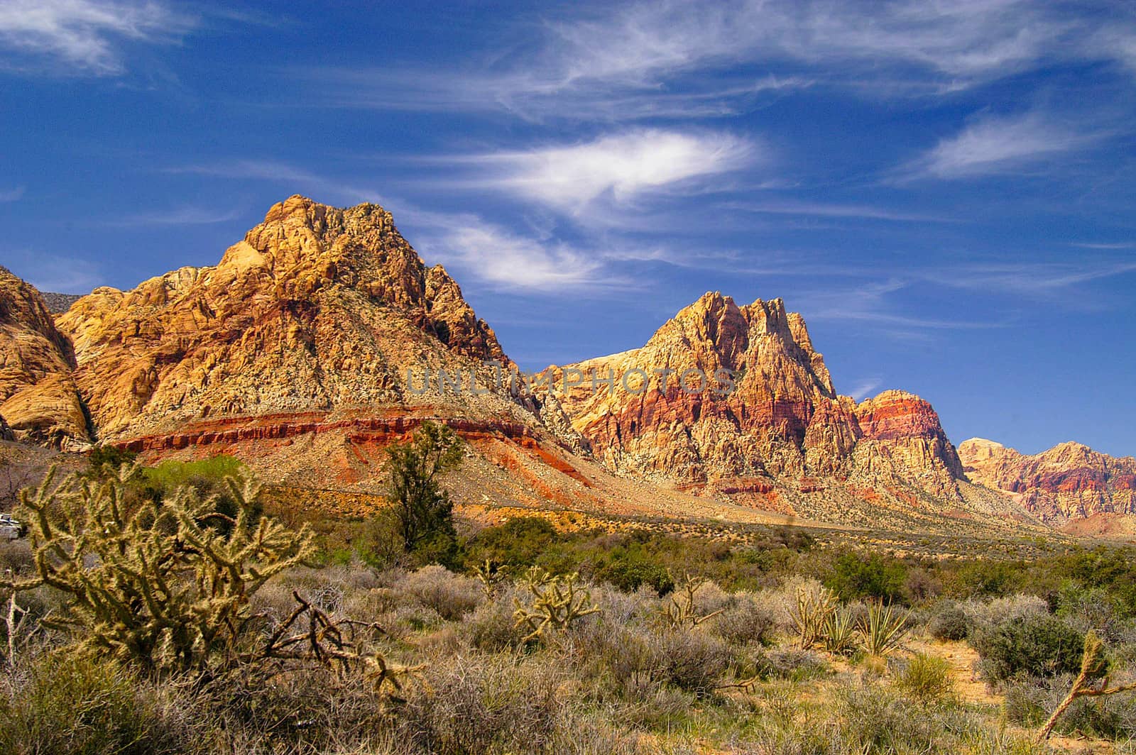Red Rock Canyon by cestes001
