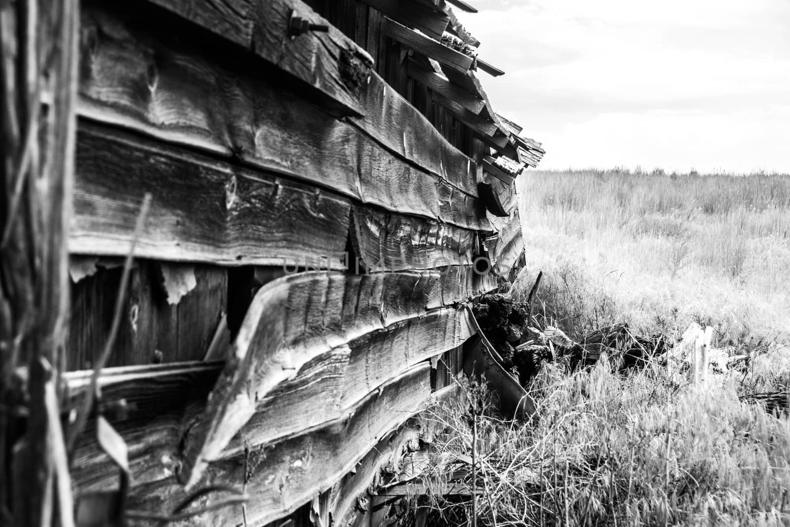 Weathered, collapsing Barn in the Palouse region of Eastern Washington