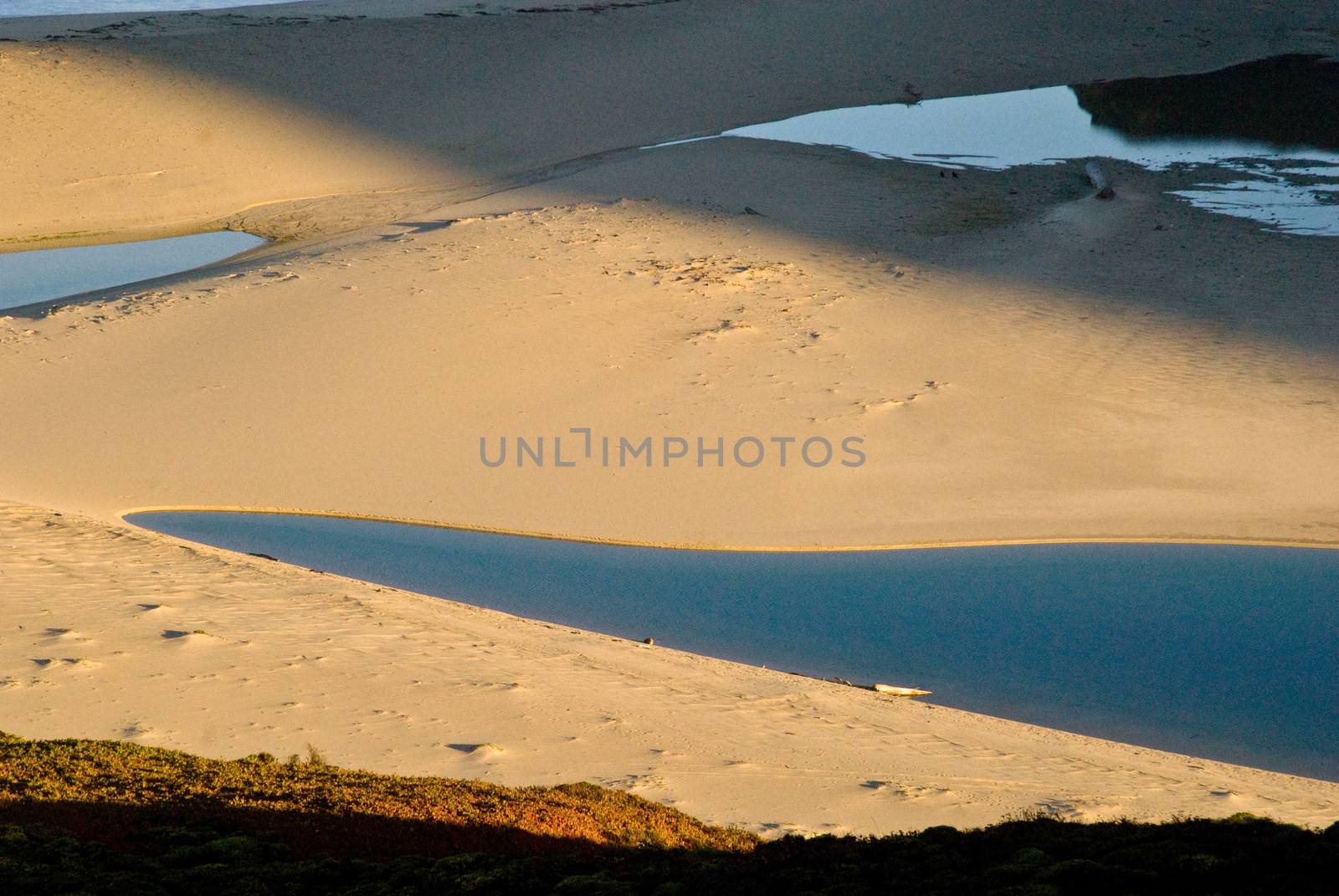Morning sun highlights contours in sand on beach on Big Sur coastline.