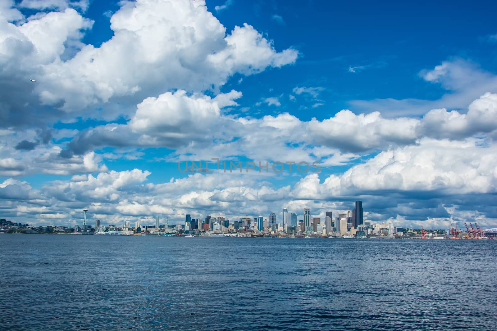 Seattle Skyline by cestes001