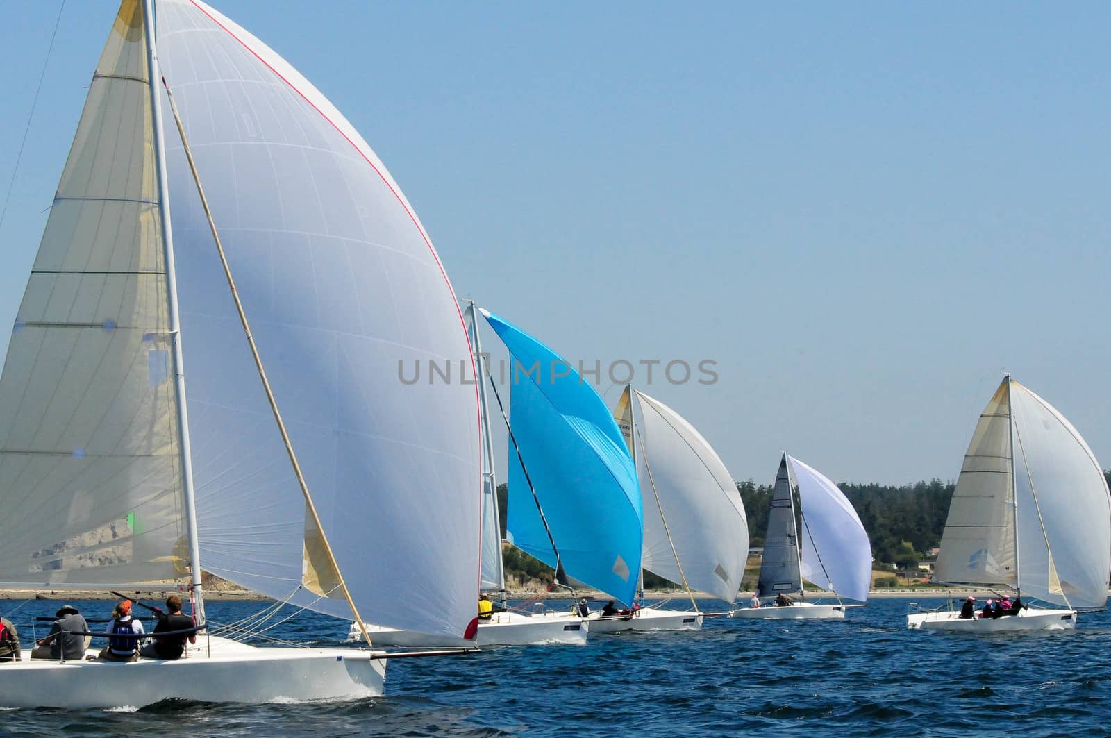 Sailboat Racing on Whidbey Island, WA by cestes001