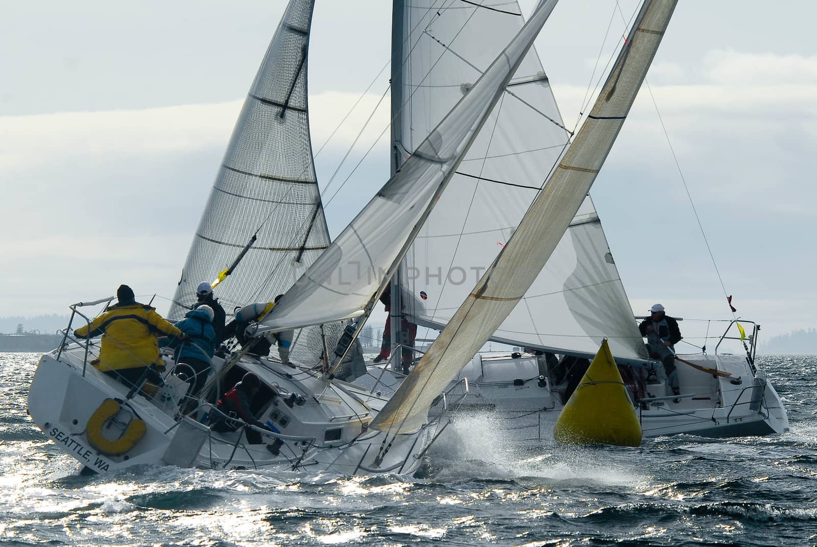 Salinig Races in the Pacific Northwest USA