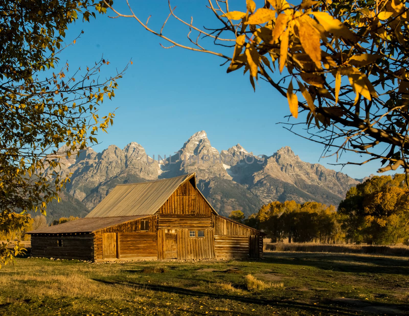 Moulton Barn in Grand Teton National Park by cestes001