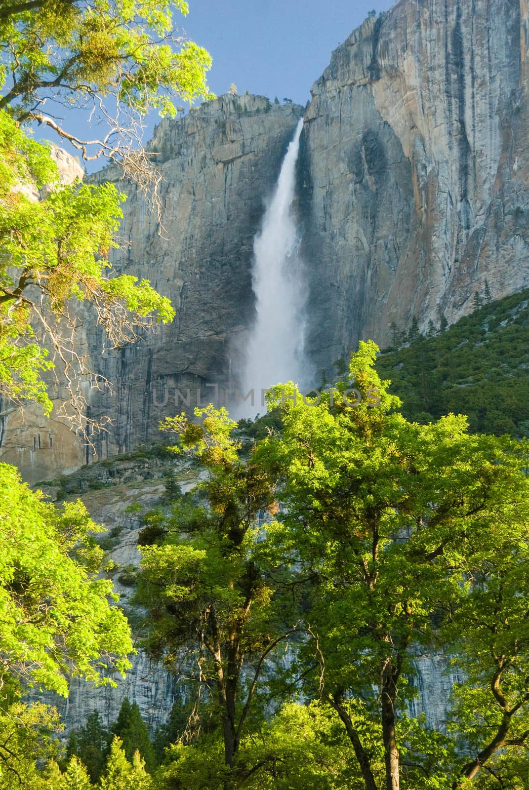 Yosemite Falls on clear morning by cestes001