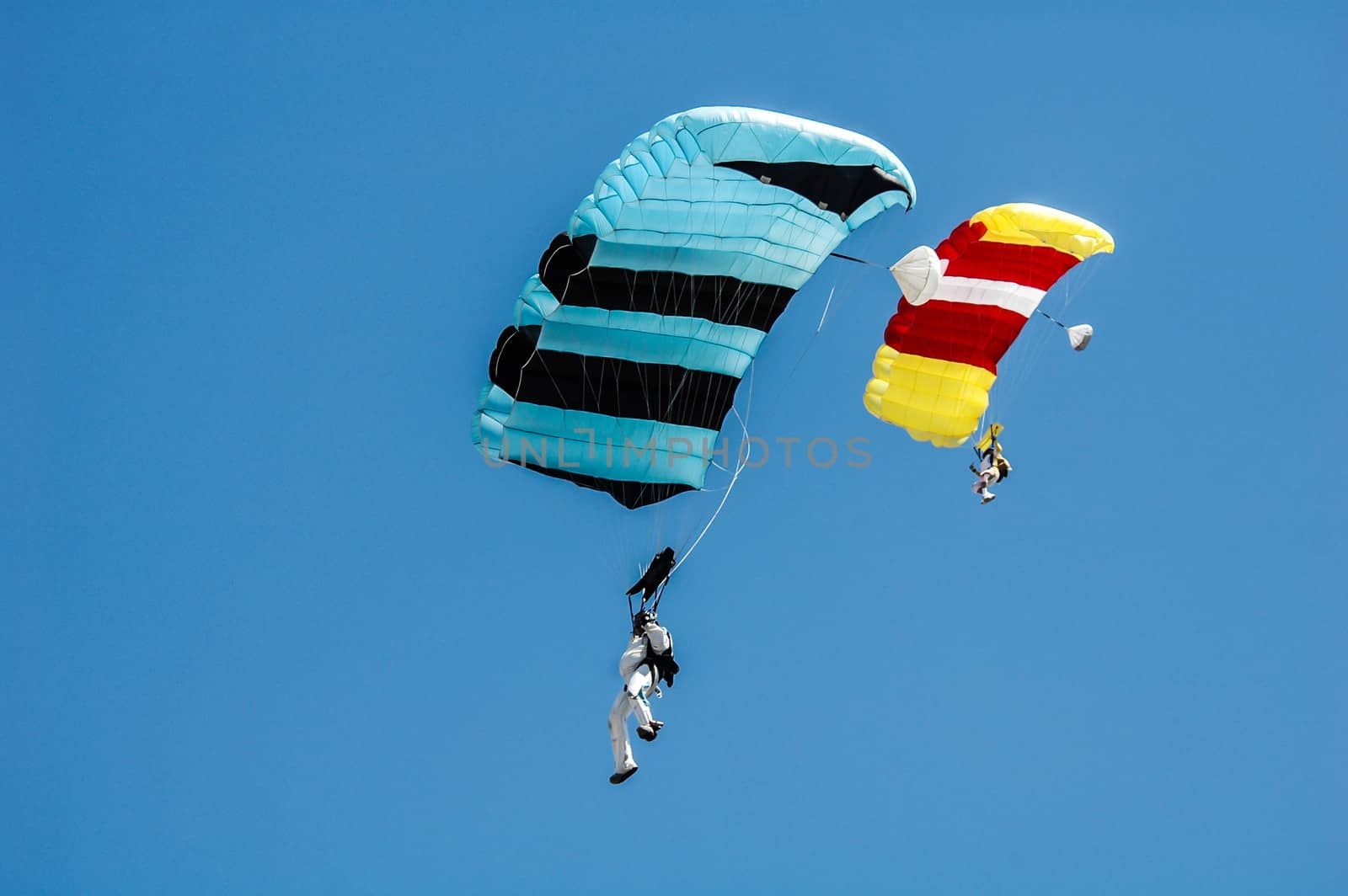Parachuting in Clear Blue Sky by cestes001