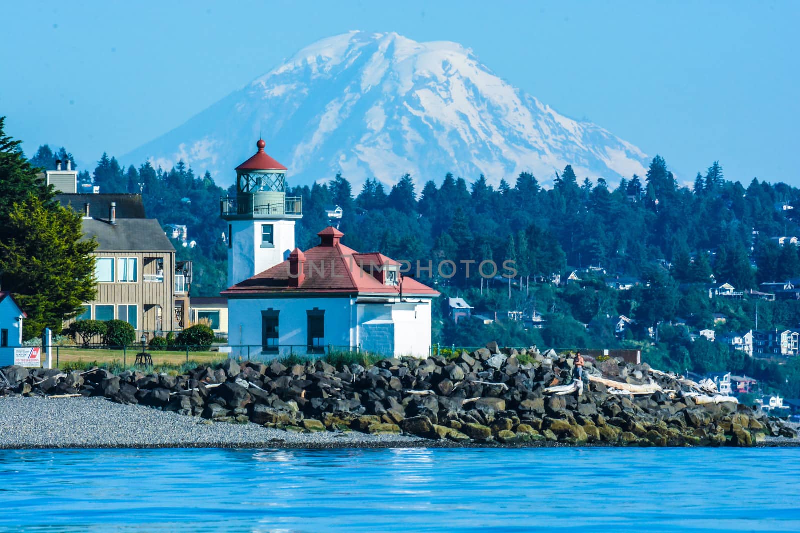 Mount Rainier in Background