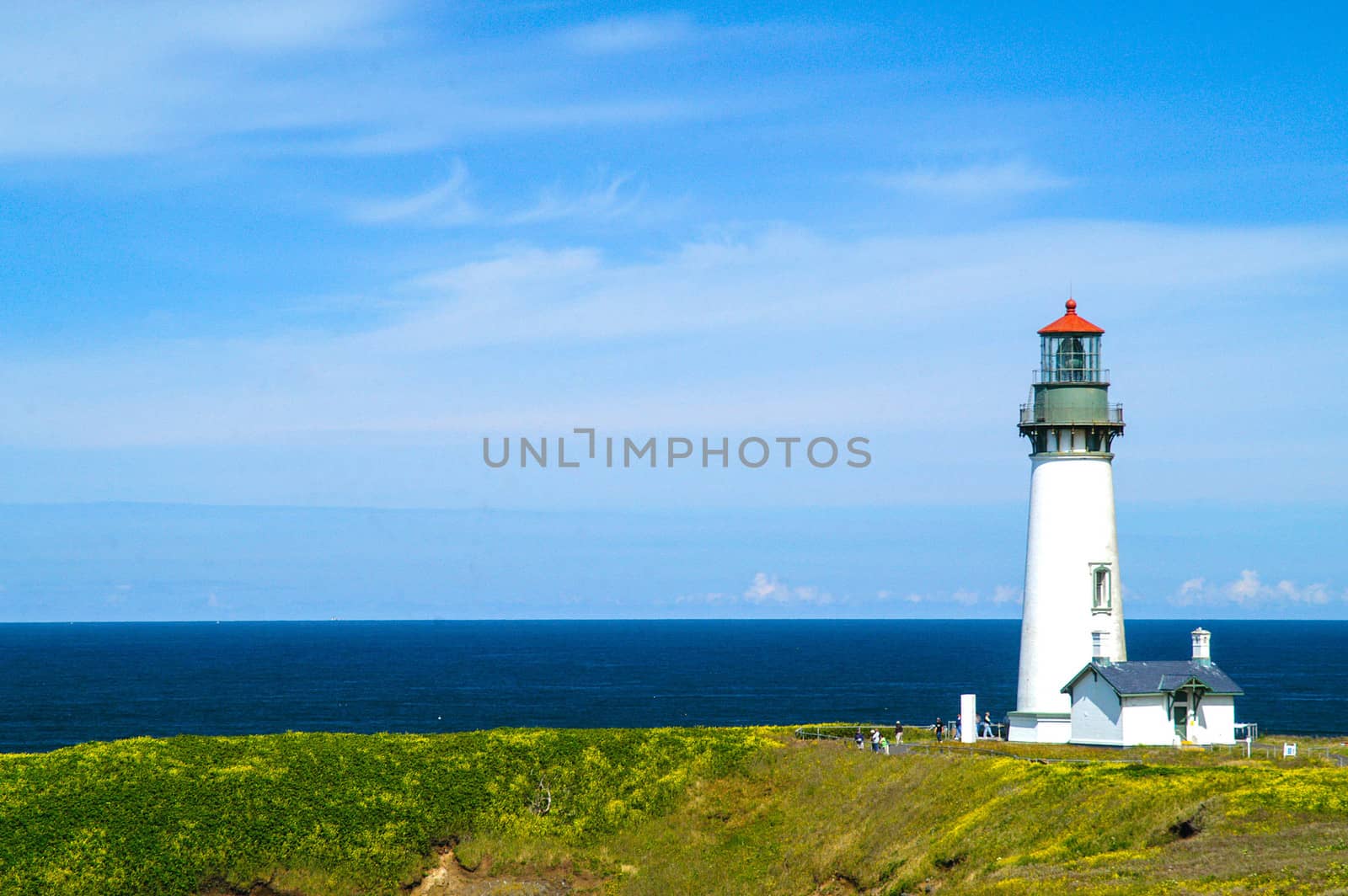 Yaquina Head Lighthouse by cestes001