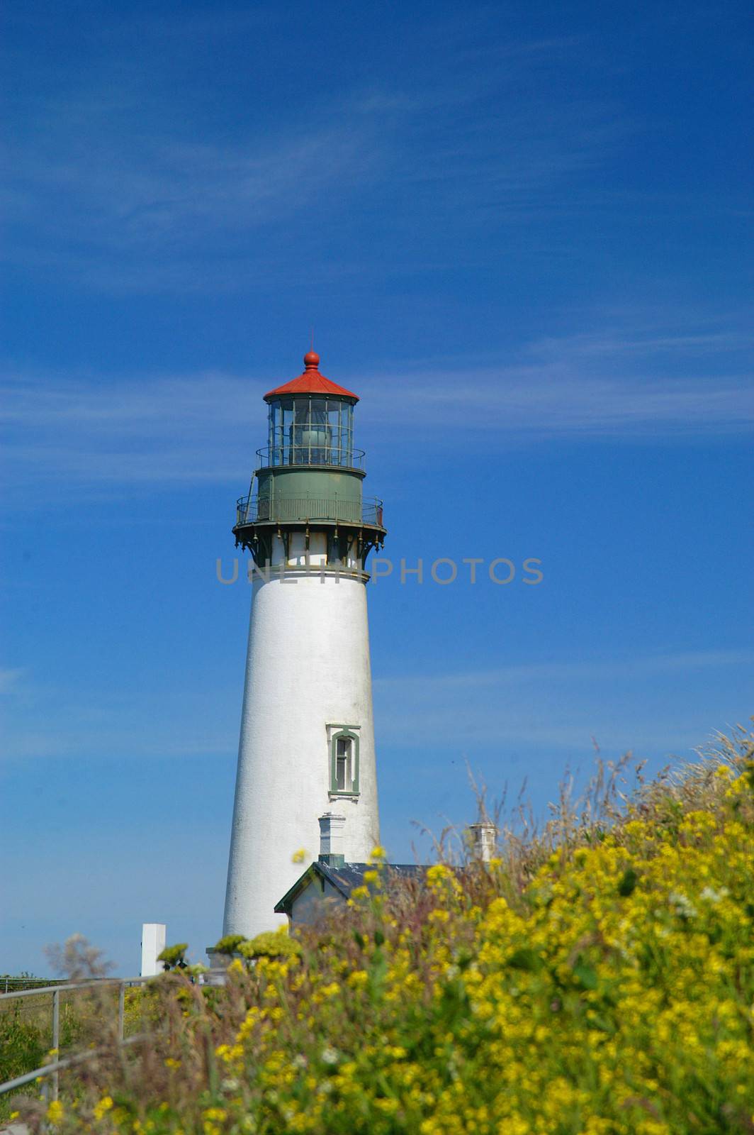 Yaquina Head Lighthouse by cestes001