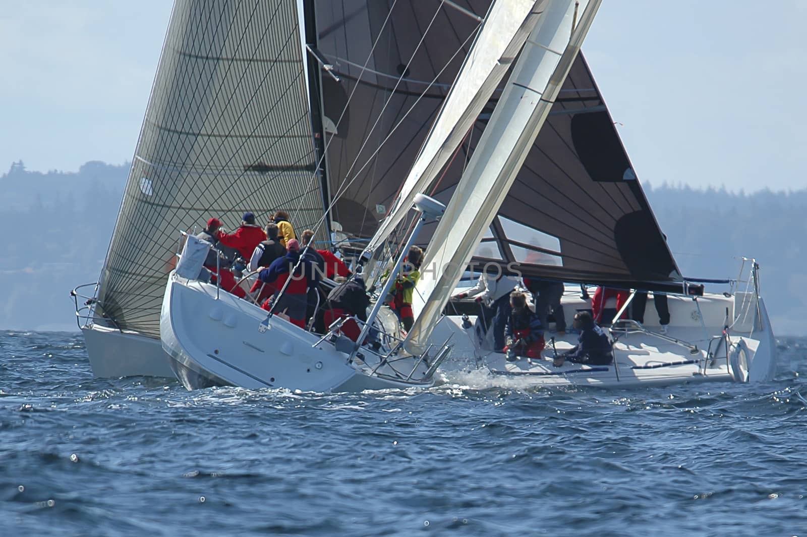 Sailboats racing on Puget Sound, WA