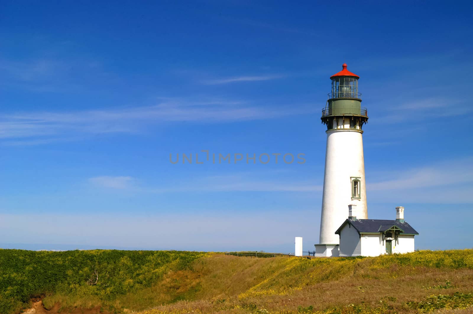 Yaquina Head Lighthouse by cestes001