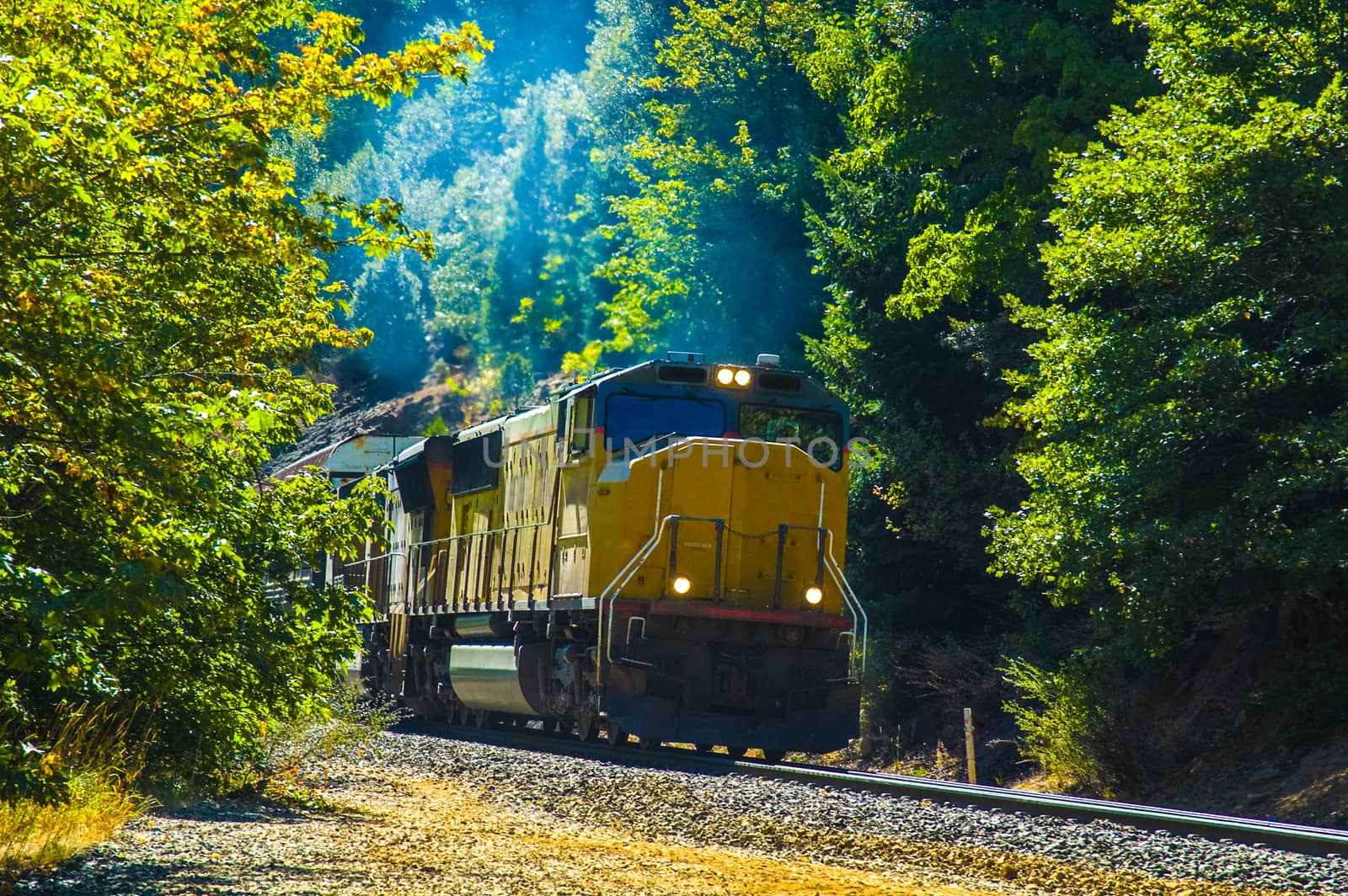 Train coming out of trees by cestes001