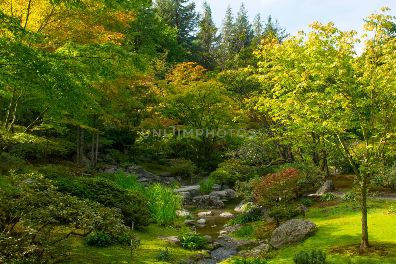 In Seattle's Washington Arboretum Park