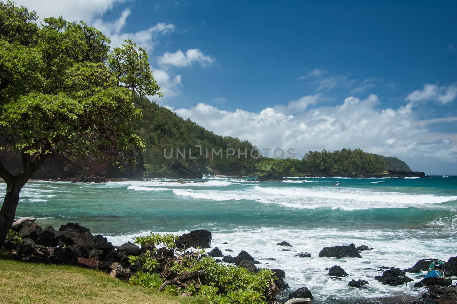 Blue sky with puffy clouds over Hawaiian beach in Maui