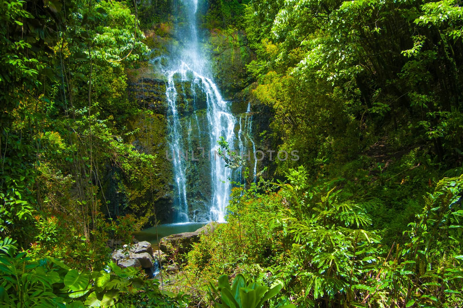 Ther Road to Hana, Maui, Hi, is replete with dozens of picturesque waterfalls