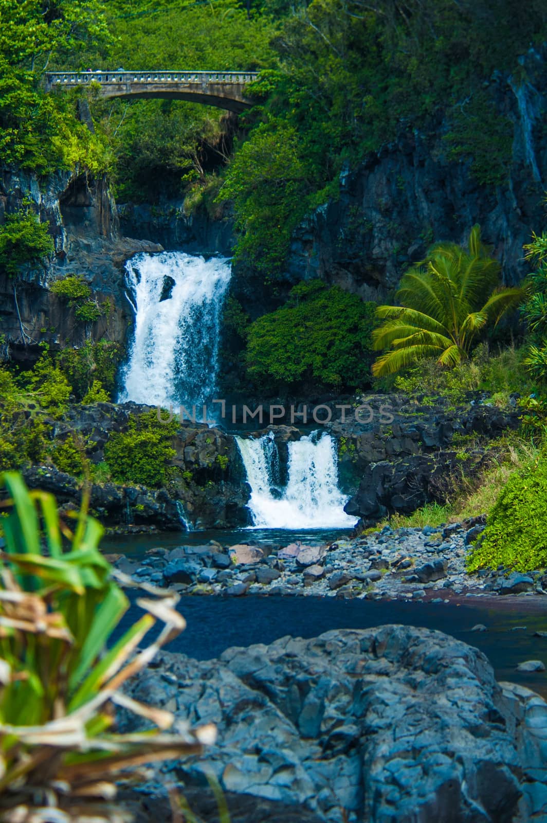 Waterfall scene on Maui by cestes001