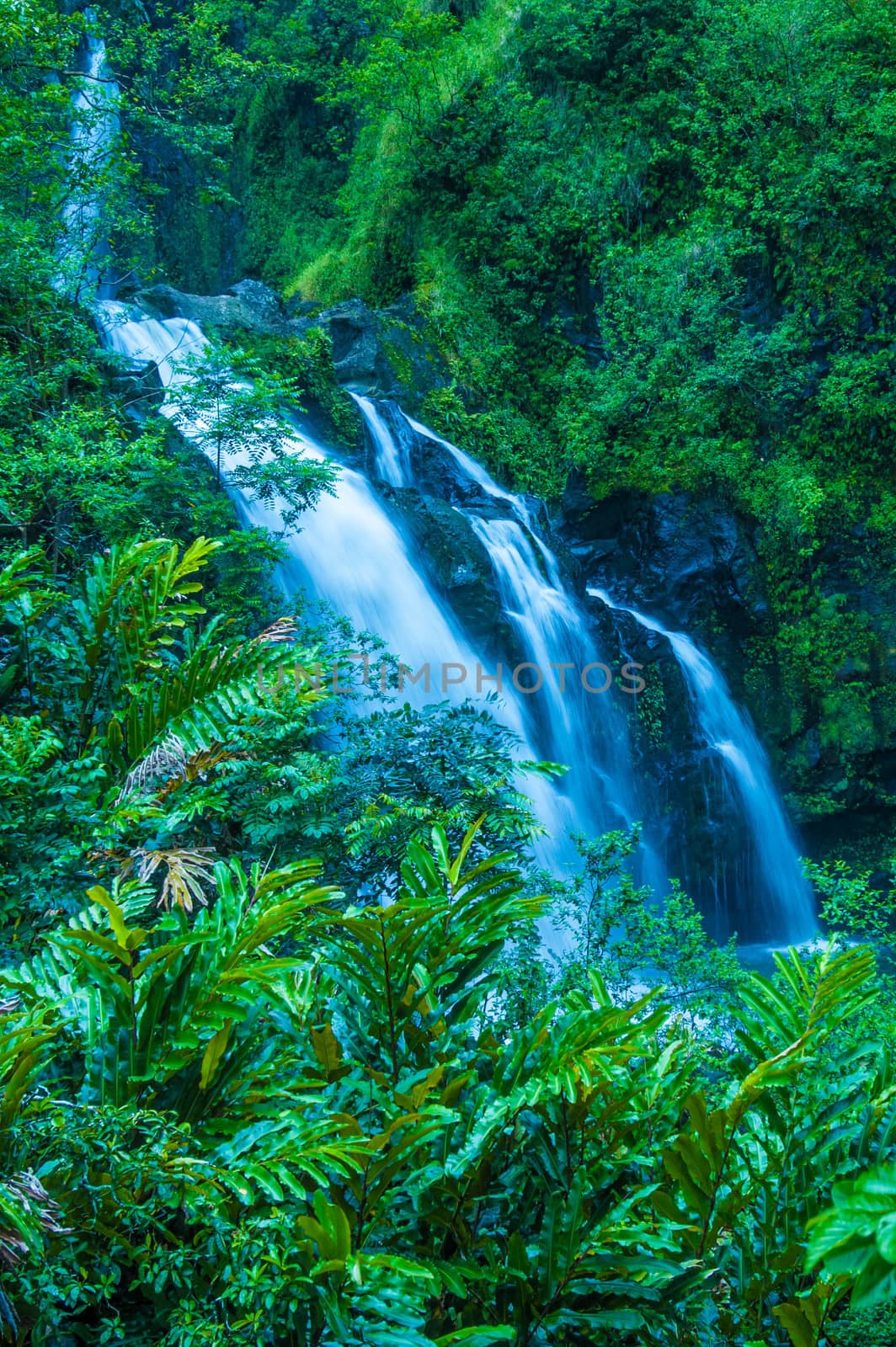Ther Road to Hana, Maui, Hi, is replete with dozens of picturesque waterfalls