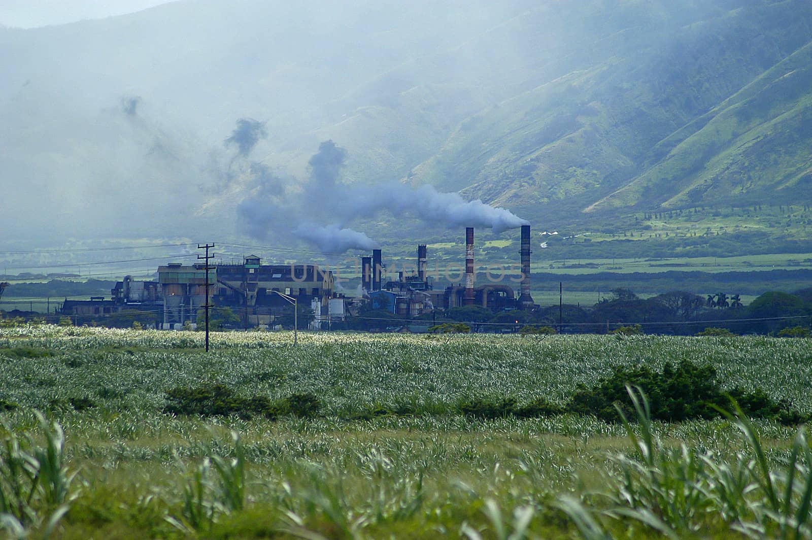 Sugar plant belches out smoke on Maui