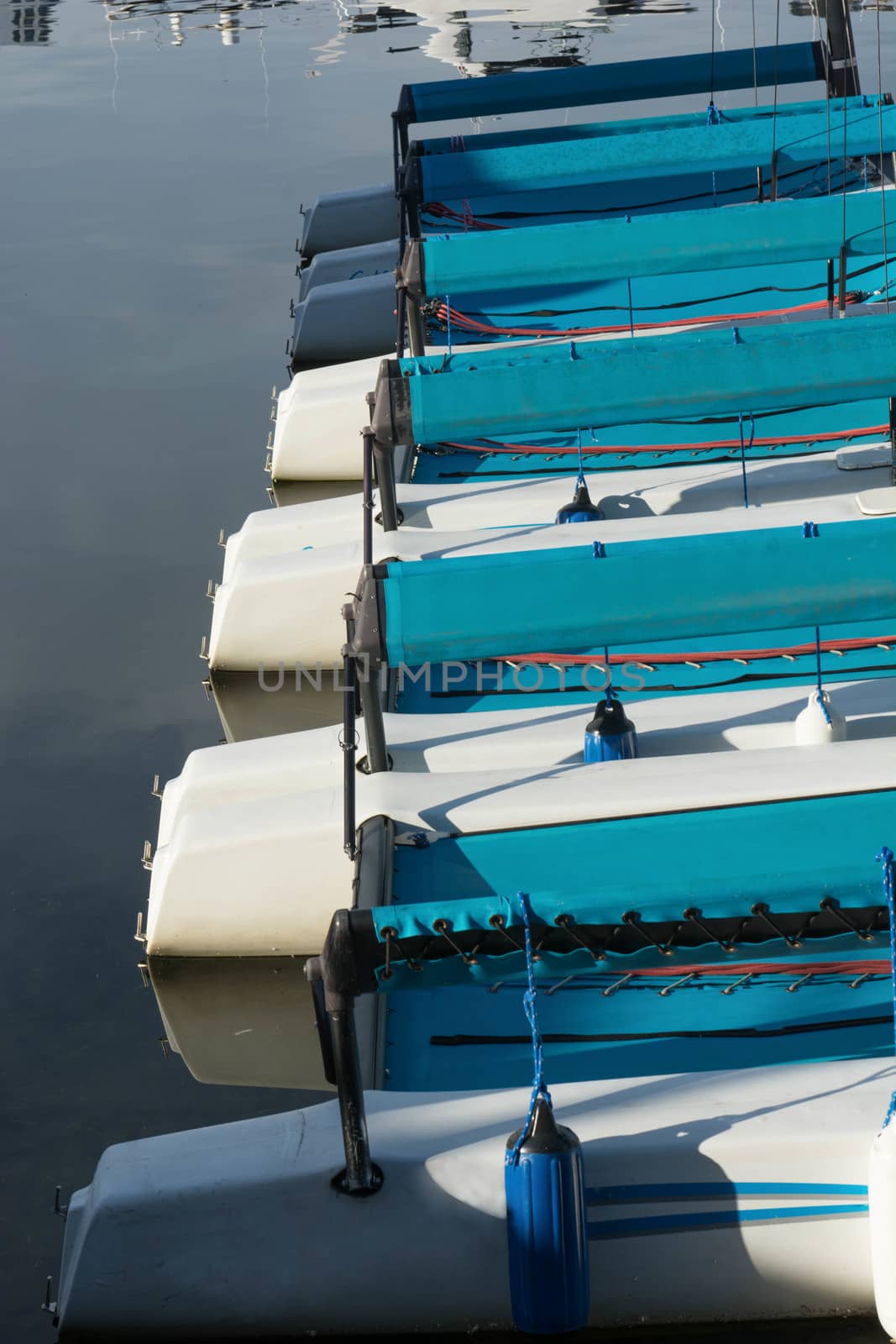 Sterns of identical catamarans lined up on dock at marina