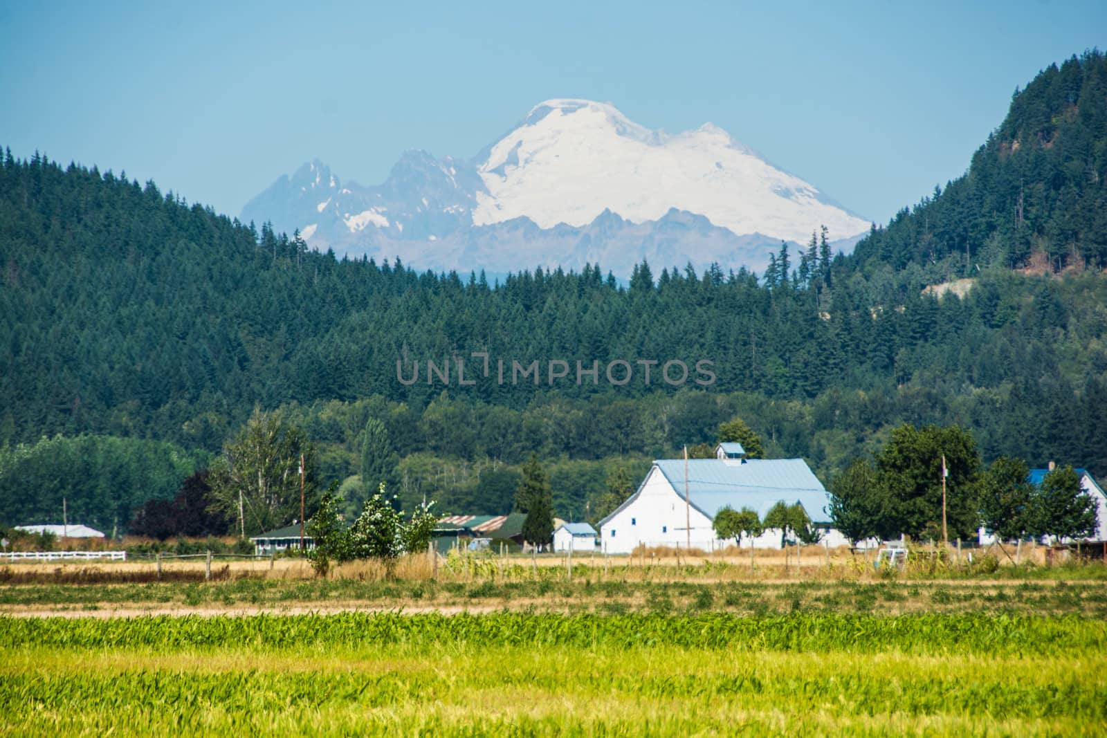 Barn on farm in Skagit Valley, Washington State