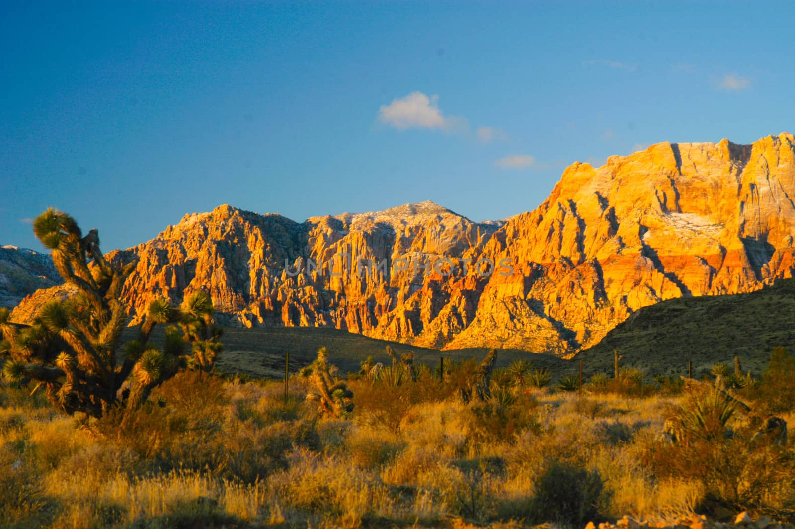 Red Rock Canyon by cestes001