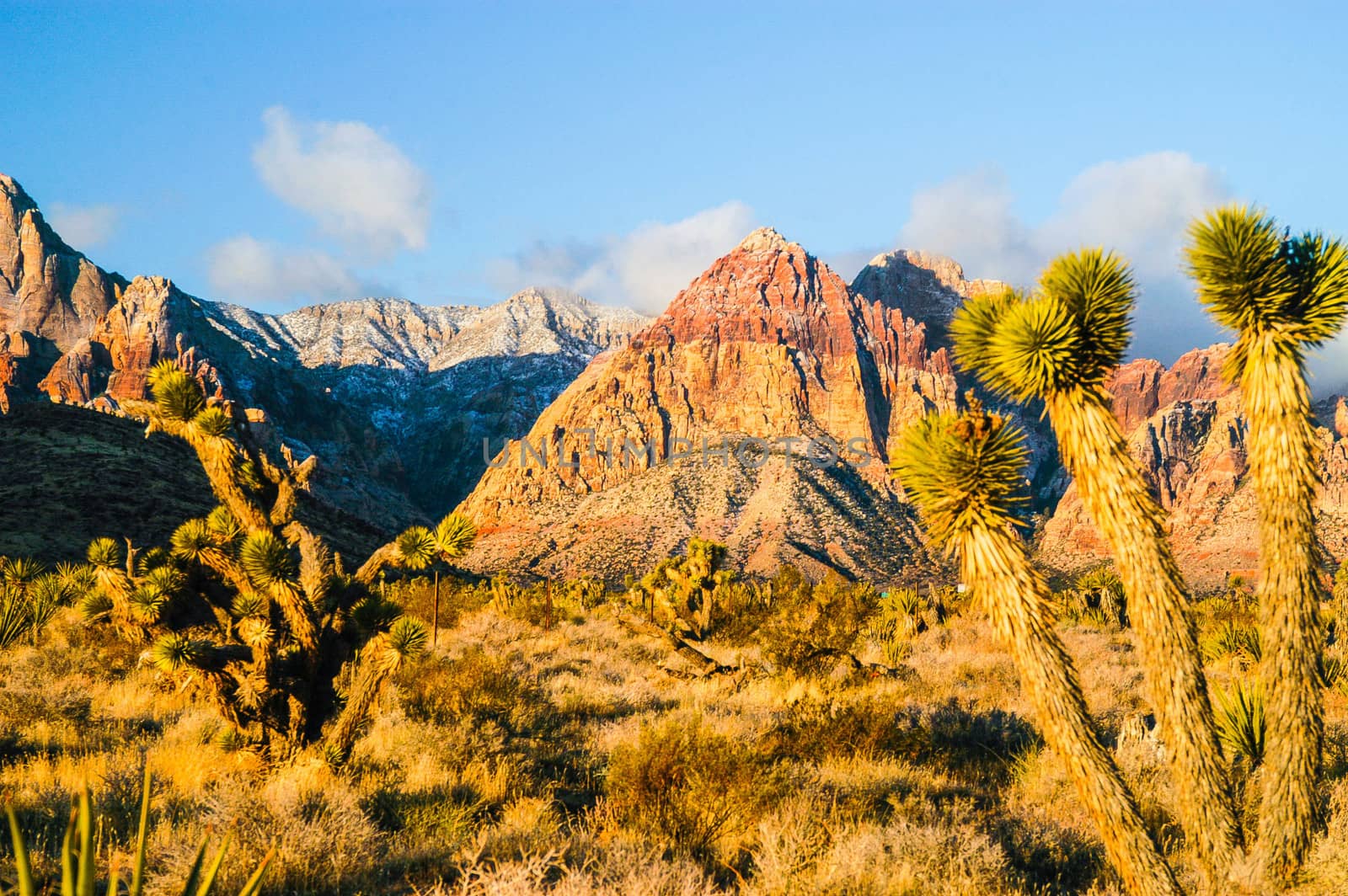 Red Rock Canyon by cestes001