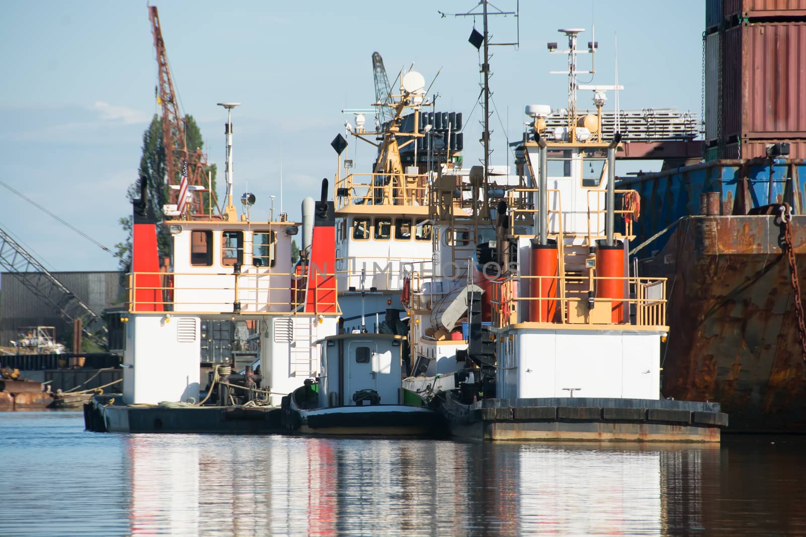 Four small tugs at their moorings reflected in the water.