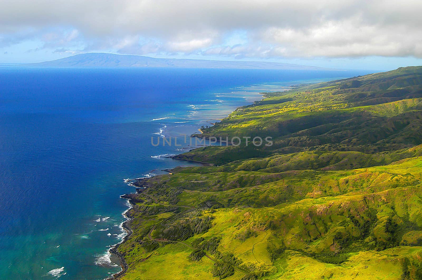 Scene from Helicopter over Maui' rain forest