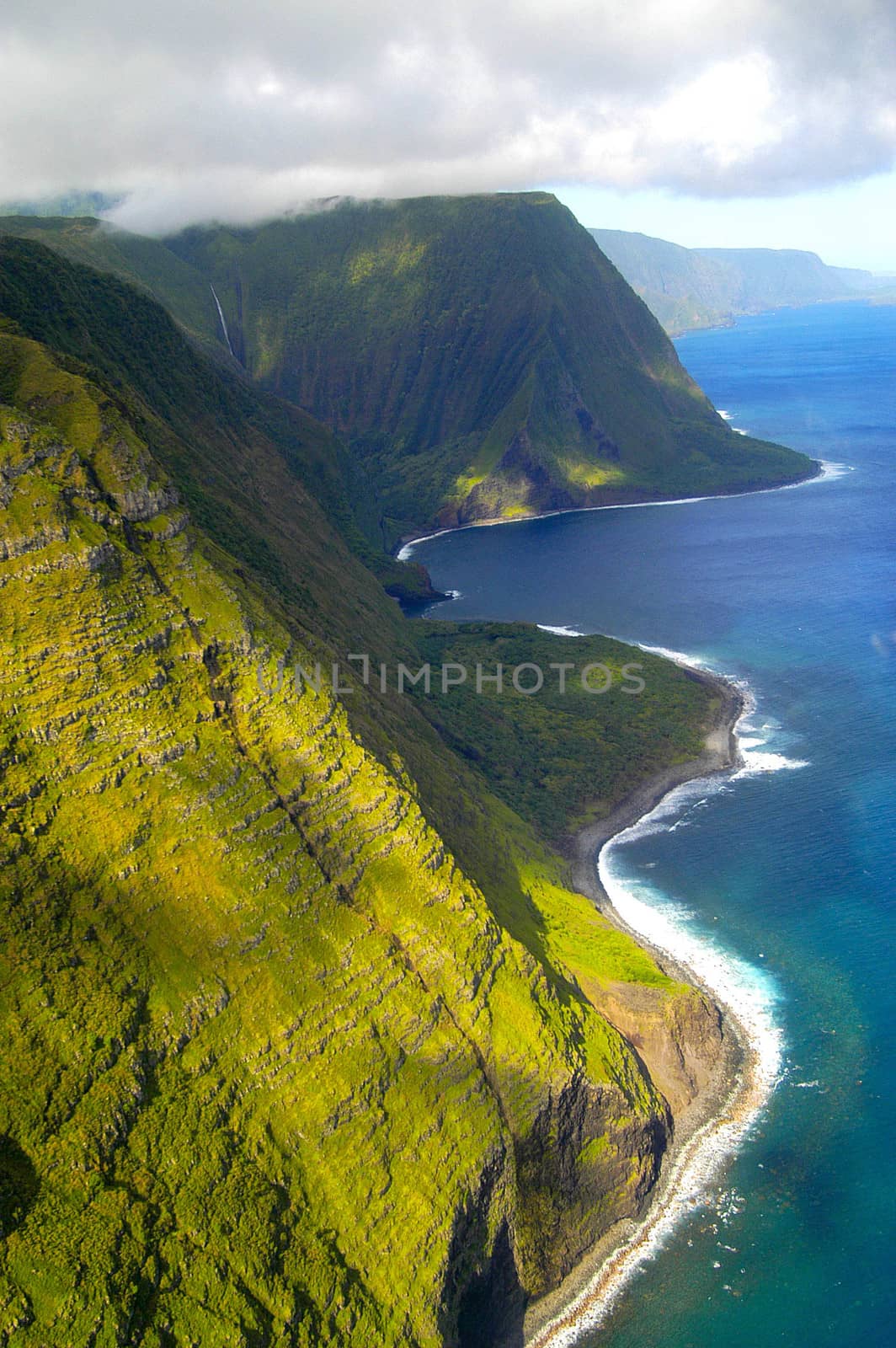 Scene from Helicopter over Maui' rain forest