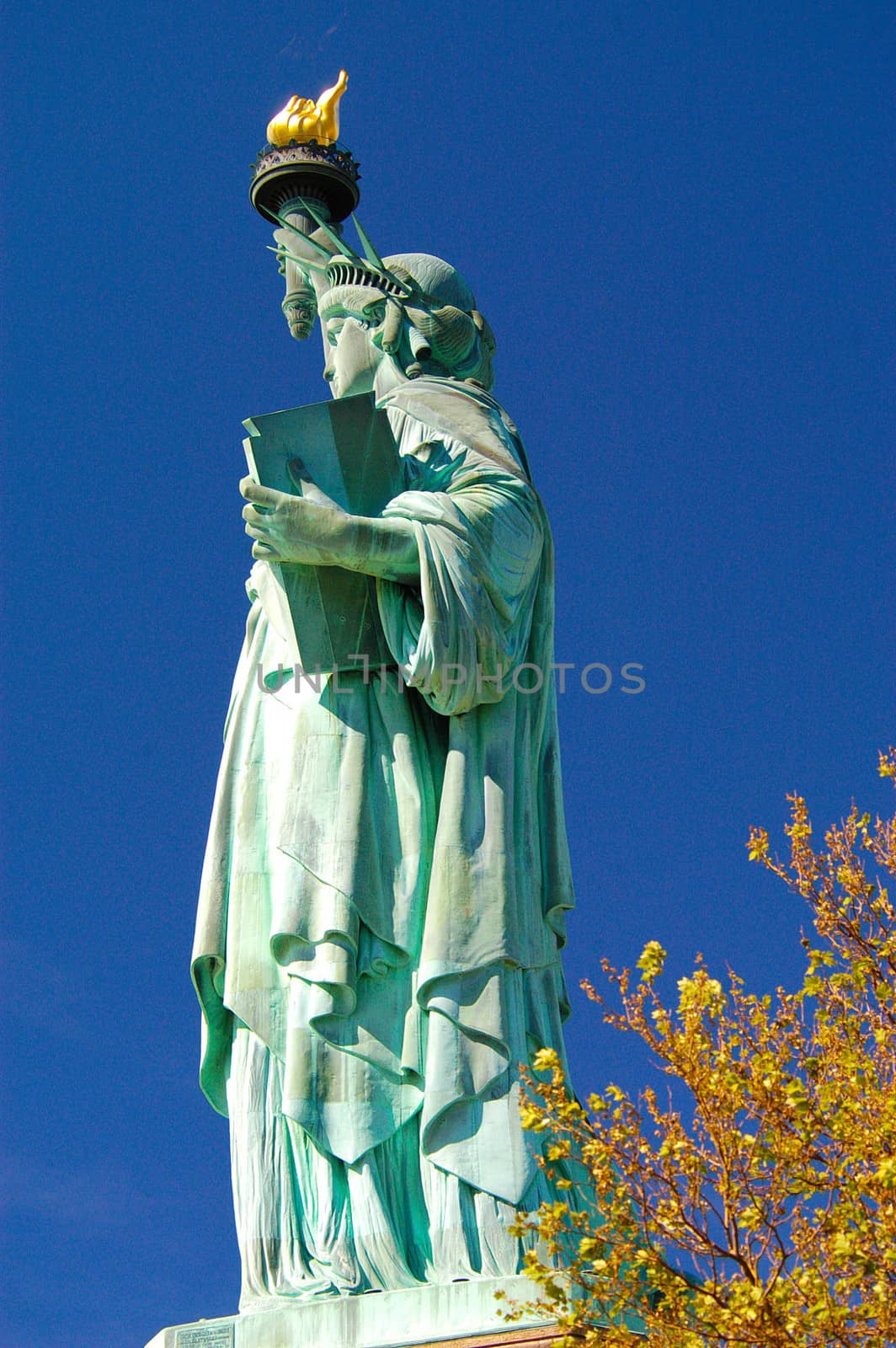 Statue of Liberty by cestes001
