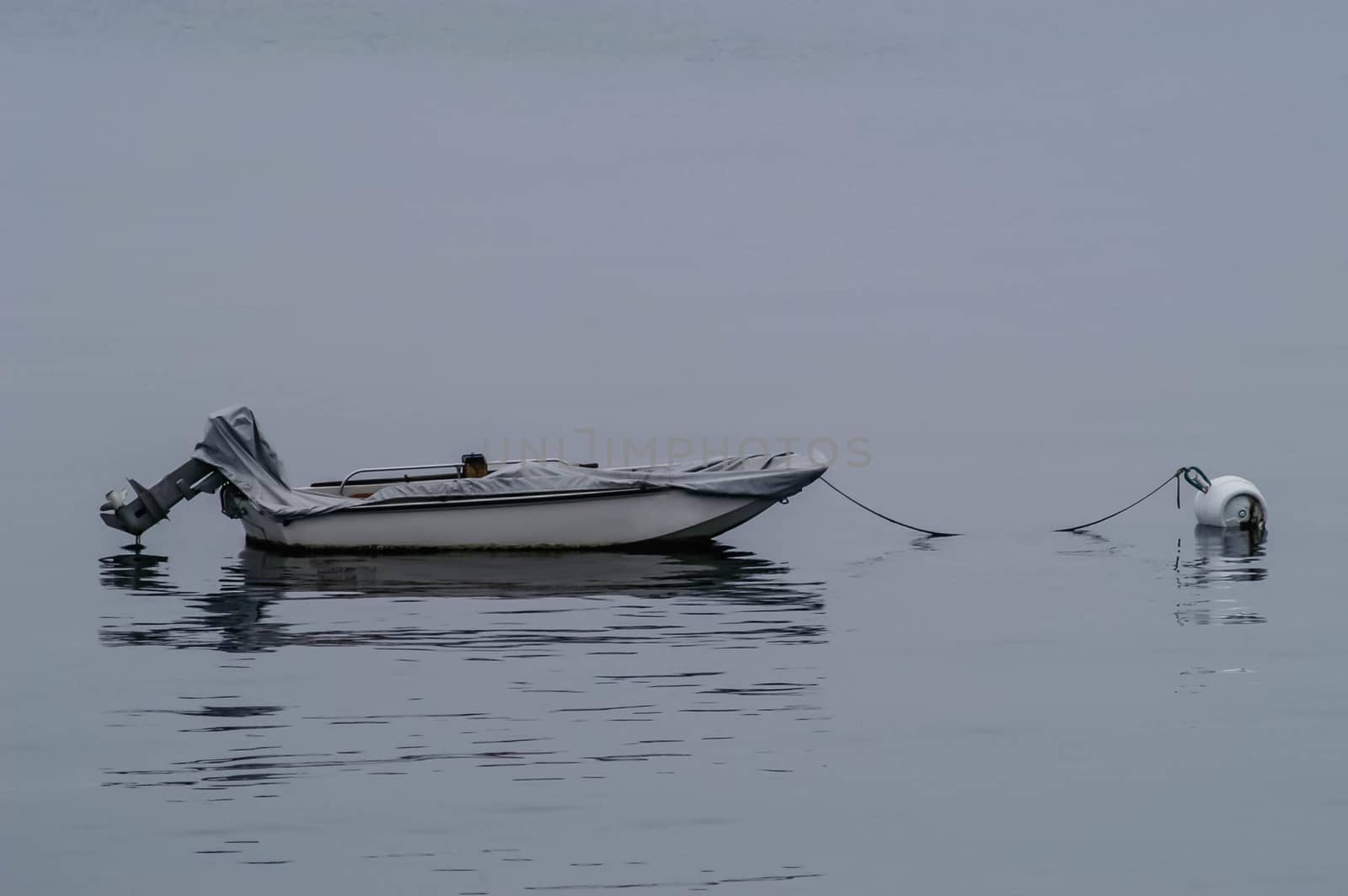 Small skiff at its moorings on a foggy morning.