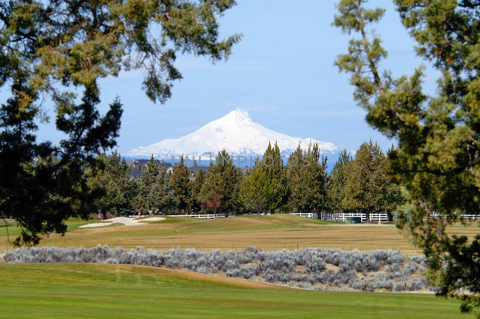 Mt Bachelor from golf course, Redmond, OR
