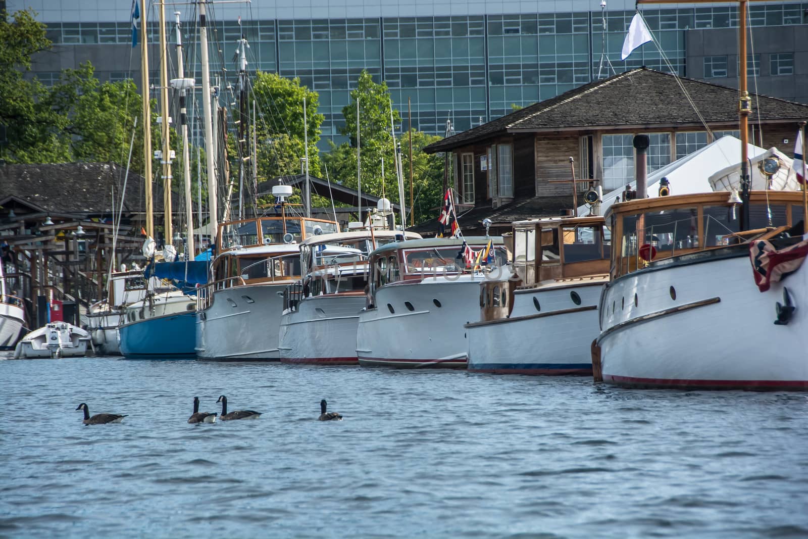 Festival at Center for Wooden Boats.