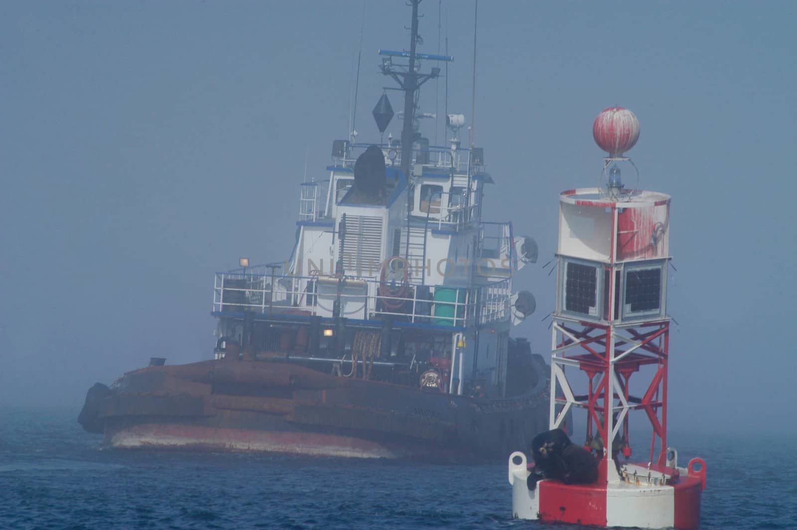 Tug in Fog with buoy and Sea Llion by cestes001